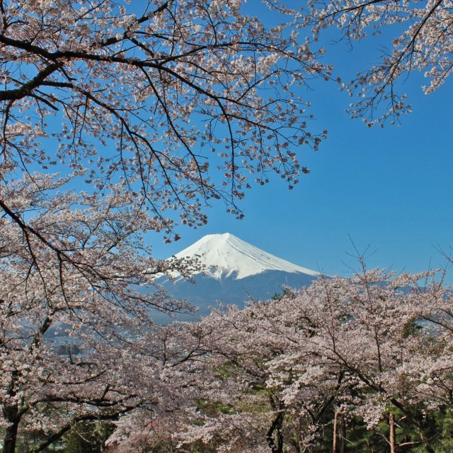 Fujimi Kotoku Koen Park